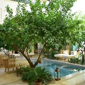 **** بيت ضيافة Emberiza Sahari المغرب